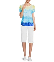 Allison Daley Petite Size Cool Sunset Print Short Sleeve Crew Neck Knit Top