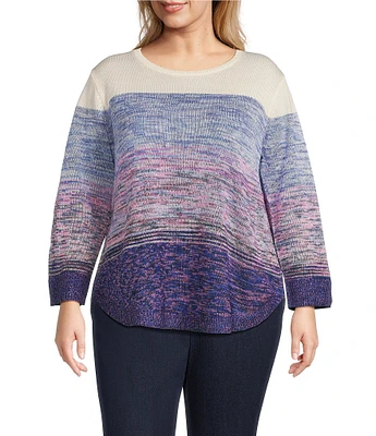 Allison Daley Plus Size 3/4 Sleeve Crew Neck Color Block Stripe Sweater