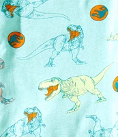 AME Little Boys 2T-4T Jurassic World T-REX 4-Piece Pajama Set