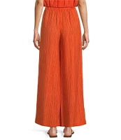 Antonio Melani Coordinating Harley Novelty Crinkle Wide Leg Pants