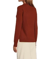 Antonio Melani Luxury Collection Cameron Cashmere Crew Neck Long Sleeve Knit Sweater