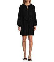 Antonio Melani Raffaella Split V-Neck Tie Waist Long Sleeve Dress