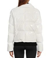 Antonio Melani Stand Collar Front Zip Ski Puffer Jacket