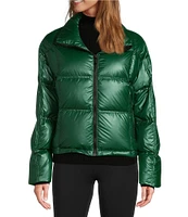 Antonio Melani Stand Collar Front Zip Ski Puffer Jacket