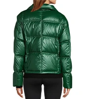 Antonio Melani Stand Collar Front Zip Ski Puffer Jacket