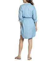 APNY Tencel Spread Collar 3/4 Puff Sleeve Belted Button Front Shirt Dress