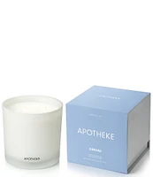 APOTHEKE Canvas 3-Wick Candle, 26 oz.