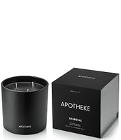 APOTHEKE Charcoal 3-Wick Candle, 26 oz.