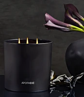 APOTHEKE Charcoal 3-Wick Candle, 26 oz.