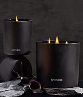 APOTHEKE Charcoal 3-Wick Candle, 26 oz.