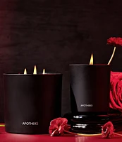 APOTHEKE Charcoal Rouge 3-Wick Candle, 26 oz.