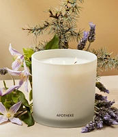 APOTHEKE Hinoki Lavender 3-Wick Candle, 26 oz.