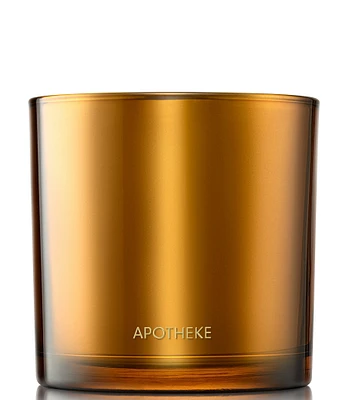 APOTHEKE Pumpkin Ginger 3-Wick Candle, 26 oz.