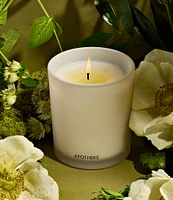 APOTHEKE Verdant Garden Classic Candle, 10.5 oz.