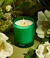 APOTHEKE Verdant Garden Petite Candle, 5 oz.