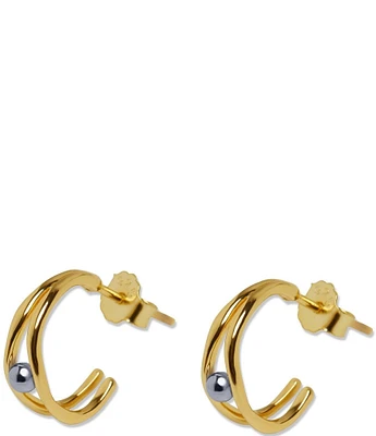 Argento Vivo Double Row Hoop Earrings