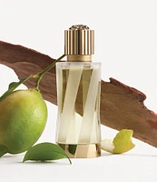 Versace Atelier Versace Cedrat de Diamante Eau de Parfum
