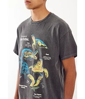 BDG Urban Outfitters Anatomy Turtles Short Sleeve Graphic T-Shirt