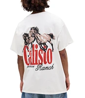 BDG Urban Outfitters Calisio Graphic Short Sleeve T-Shirt