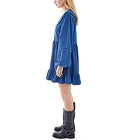 BDG Urban Outfitters Long Sleeve Button Front Denim Collar Dress