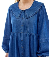 BDG Urban Outfitters Long Sleeve Button Front Denim Collar Dress