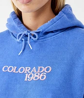 BDG Urban Outfitters Long Sleeve Colorado Fleece Hoodie