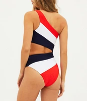 Beach Riot Joyce Color Block One Shoulder One Piece Swimsuit