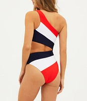 Beach Riot Joyce Color Block One Shoulder One Piece Swimsuit