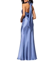 Betsy & Adam Charmeuse Halter Neck Sleeveless Back Bow Fit and Flare Gown