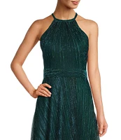 Betsy & Adam Metallic Crinkle Halter Neck Sleeveless Gown