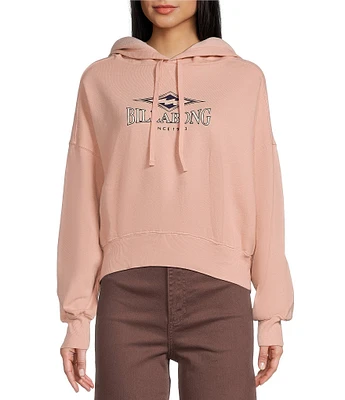 Billabong All Time Fleece Graphic Logo Cropped Hoodie