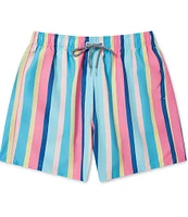 Boardies Cake Stripe 4.5#double; Inseam Swim Trunks