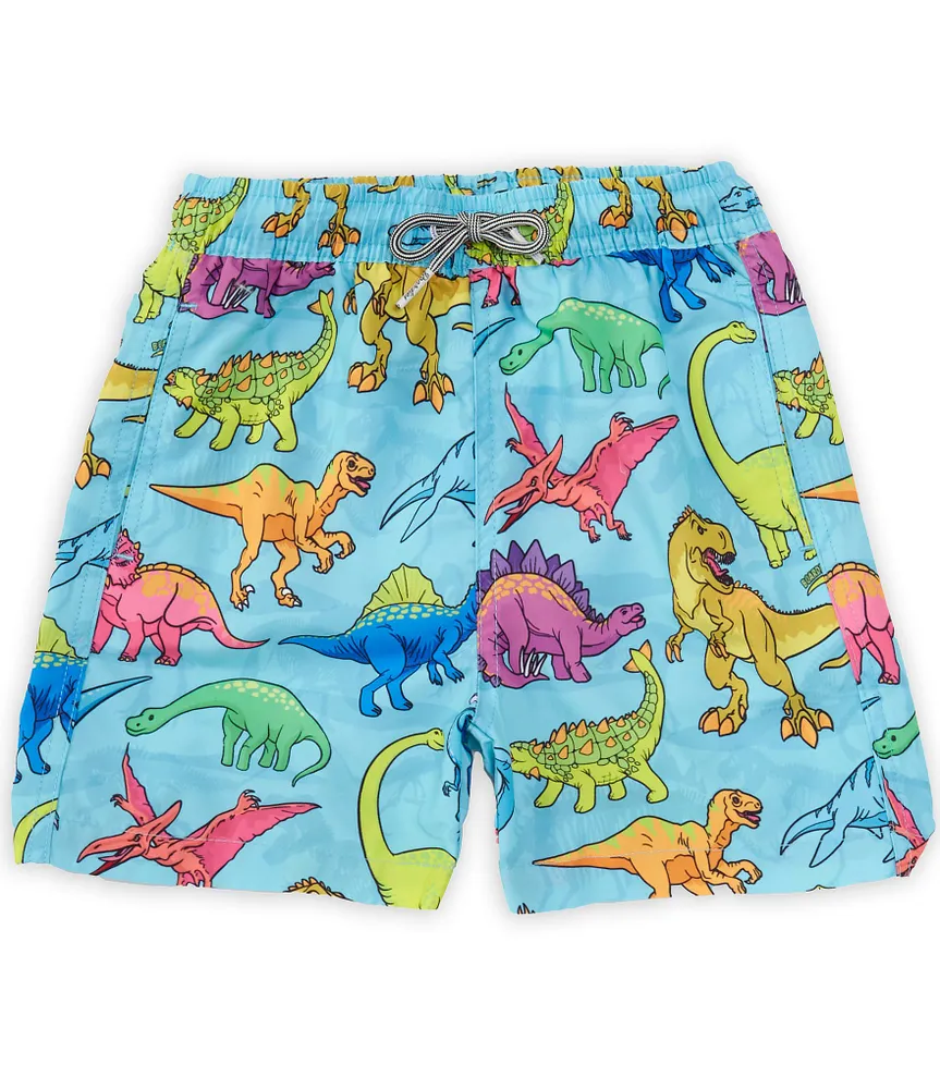 Boardies® Little/Big Boys 2-10 Dinosaur Swim Shorts