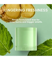 Boy Smells Minty Candle