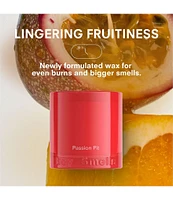 Boy Smells Passion Pit Candle