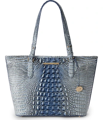 BRAHMIN Ombre Melbourne Collection Medium Asher Tote Bag