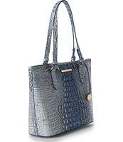 BRAHMIN Ombre Melbourne Collection Medium Asher Tote Bag
