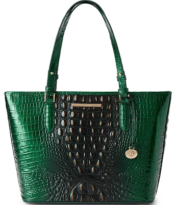 BRAHMIN Ombre Melbourne Collection Evergreen Medium Asher Tote Bag