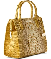 BRAHMIN Ombre Melbourne Collection Golden Rod Small Caroline Satchel Bag