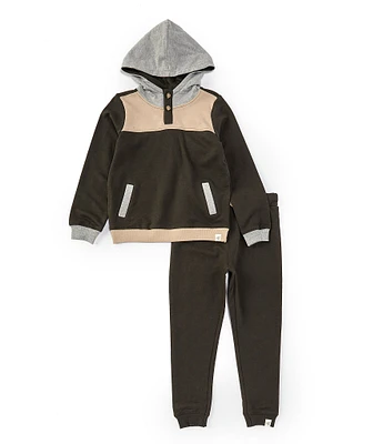 Burt's Bees Little Boys 2T-5T Long-Sleeve Color Block Hoodie & Solid Jogger Pant Set