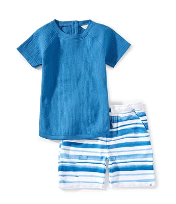 Burt's Bees Little Boys 2T-5T Raglan-Sleeve Solid T-Shirt & Watercolor-Stripe Shorts Set