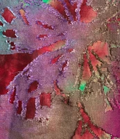 Calessa Burnout Tie-Dye Crew Neck Bracelet Sleeve Asymmetric Hem Tunic