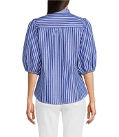 Calessa Embroidered Stripe High Ruffle Split V-Neck Elbow Sleeve Button Front Tunic