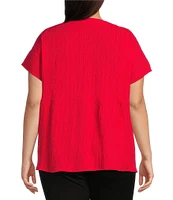 Calessa Plus Size Floral Embroidered Crinkle Split V-Neck Short Sleeve Top