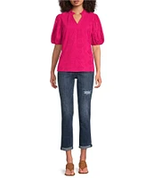 Calessa Split V-Neck Short Sleeve Embroidered Top