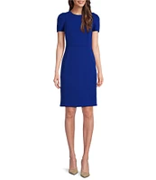 Calvin Klein Short Pleated Sleeve Crew Neck Sheath Dress