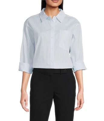 Calvin Klein Stripe Cotton Long Sleeve Button Front Shirt
