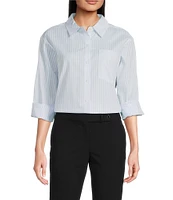 Calvin Klein Stripe Cotton Long Sleeve Button Front Shirt