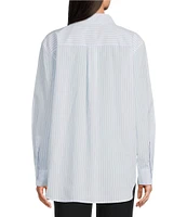Calvin Klein Stripe Cotton Long Sleeve Button Front Shirt