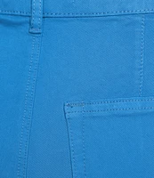 Charlie B. Twill Mid Rise Flat Front Flare Leg Pants